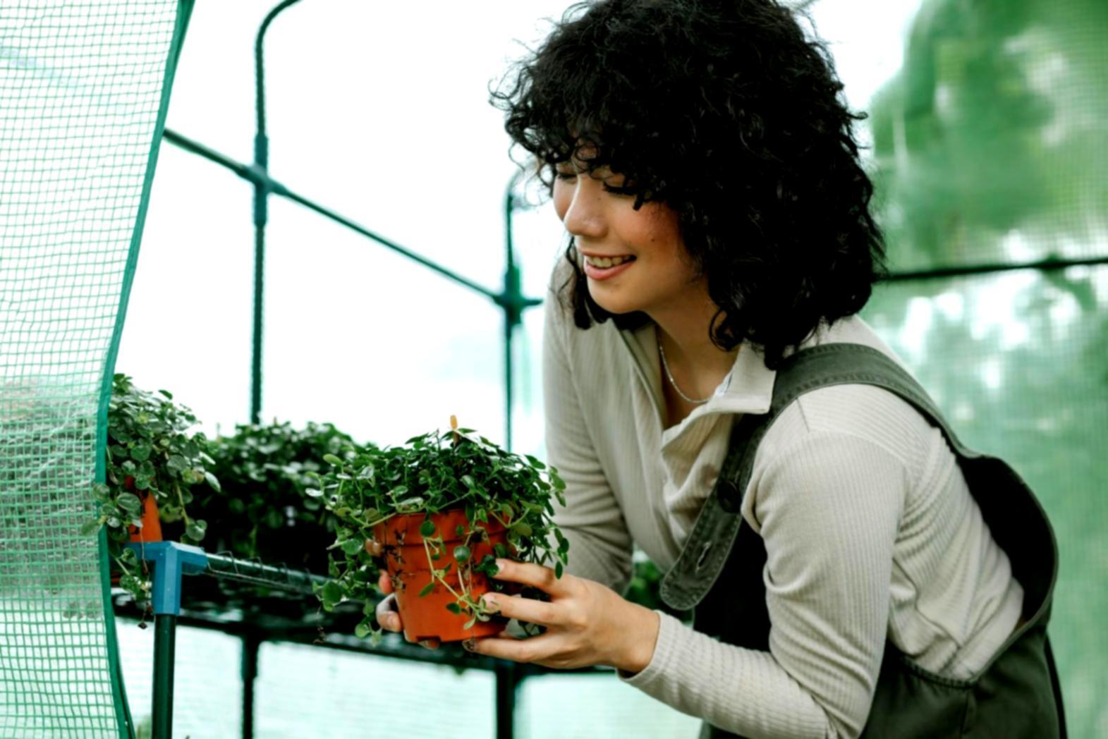 Interior botanical installation showcasing layered greenery arrangement